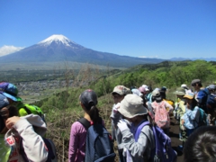 【富士学園】高座山からみた富士山.JPG