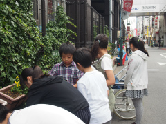 永福町駅前にひまわりを植えにいきました.jpg