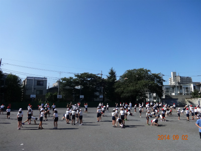 DSC00553.jpg