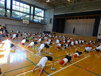 DSC00556.jpg