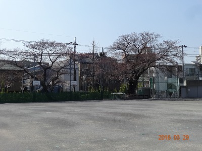 kou-DSC05386.jpg