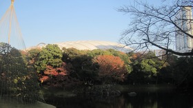 kou-IMG_0601.jpg
