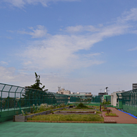 杉並区立 和田小学校 屋上