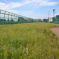 杉並区立 和田小学校 屋上