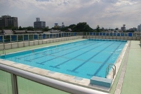 �v�[���ʐ^