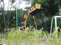 �U�E���X�H�̎ʐ^