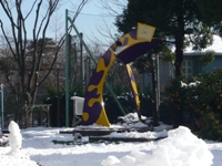 �U�E���X�~�̎ʐ^