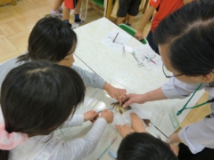 理科実験教室（コイの解剖）.JPG
