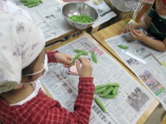 給食のグリンピースの皮むき.jpg