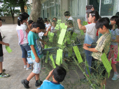 七夕　飾り付け (2).jpg