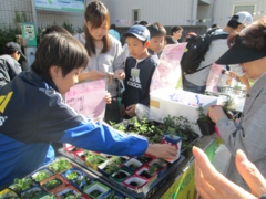 オータムフェスティバル (1).JPG