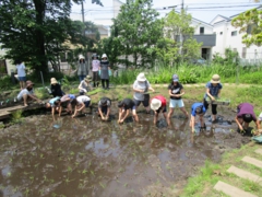【田植え】.JPG