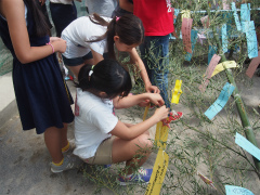 七夕の短冊付け★願いがかないますように！.jpg