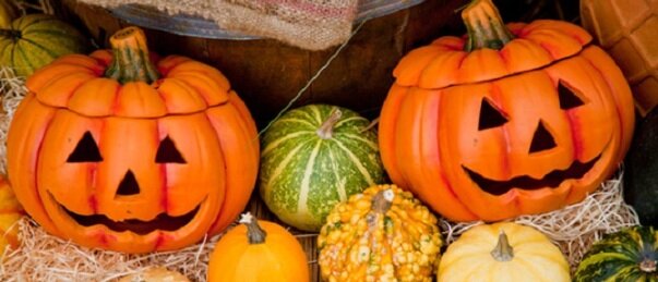 学園長ブログ 年10月 杉並区立 小中一貫教育校 高円寺学園