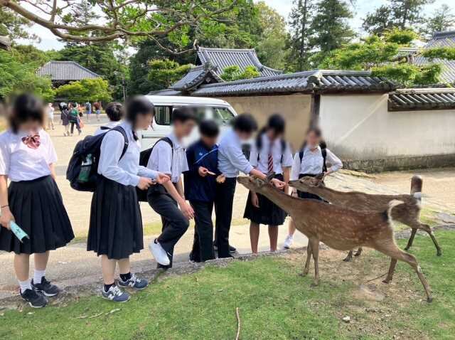 スクリーンショット (133).jpg