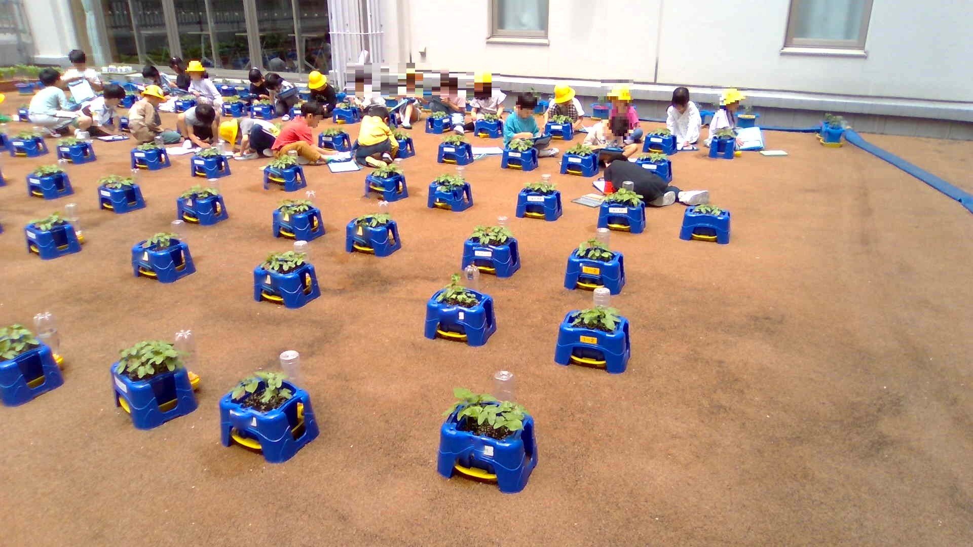 WIN_20250602_11_08_38_Pro (2).jpg