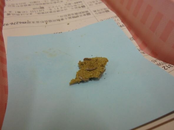 DSC04455 ブログ用.JPG