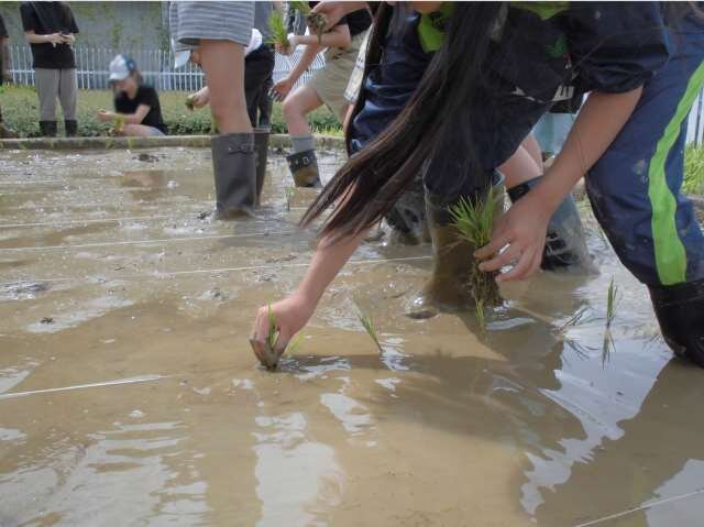 スクリーンショット (142).jpg