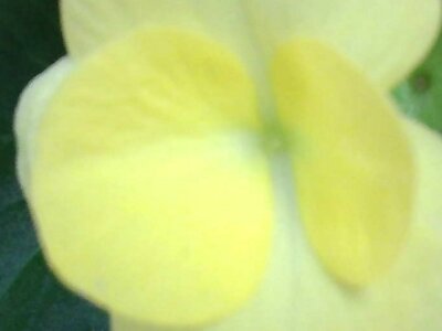 スクリーンショット 2023-05-15 223934.jpg