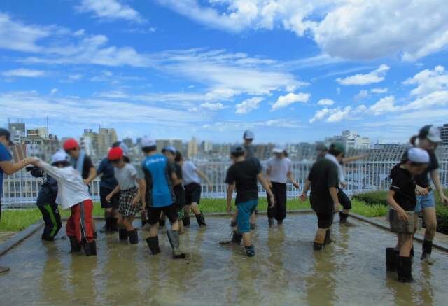 スクリーンショット (140).jpg