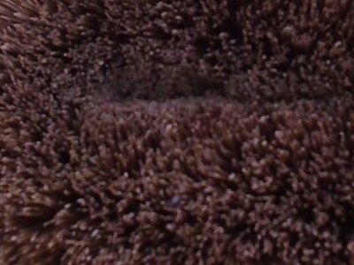 スクリーンショット 2023-05-15 224413.jpg